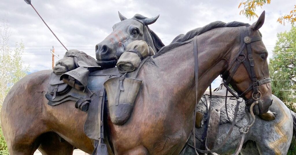 Polarization avoided: When Whidbey meets Wyoming over breakfast