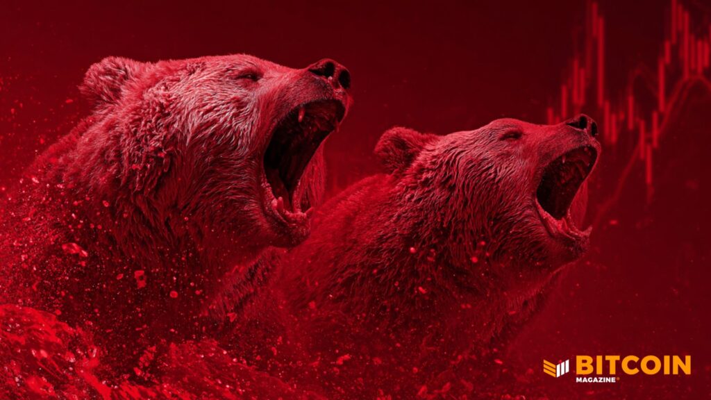 Bitcoin Price Crashes To $80,000 Before Rebounding