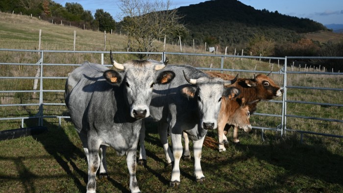 China hits EU dairy industry with levies of up to 42.7%