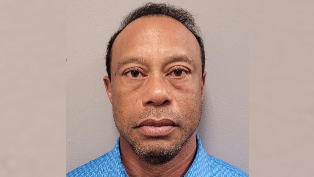 Tiger Woods says he will step away and ‘seek treatment’ following car crash arrest