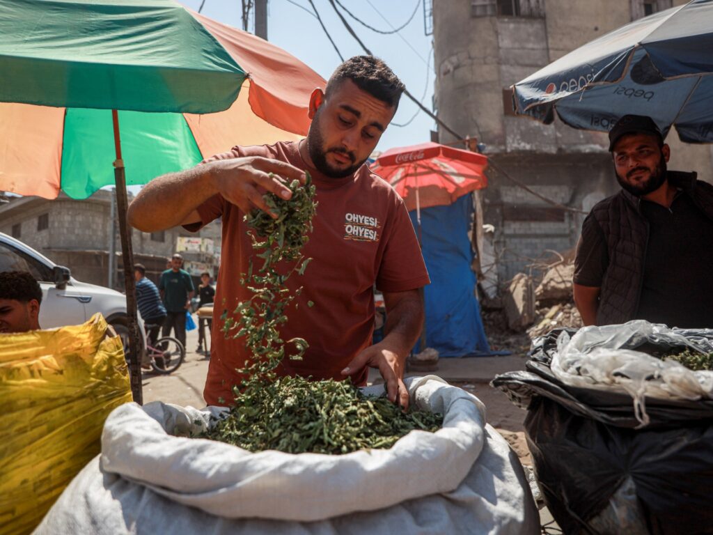 Molokhia cigarettes: Gaza’s toxic alternative to tobacco | Israel-Palestine conflict News