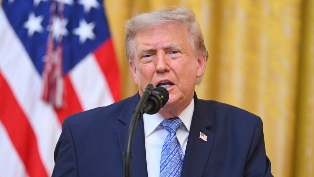Declassified documents touted by Trump say election systems ‘would be difficult to manipulate’