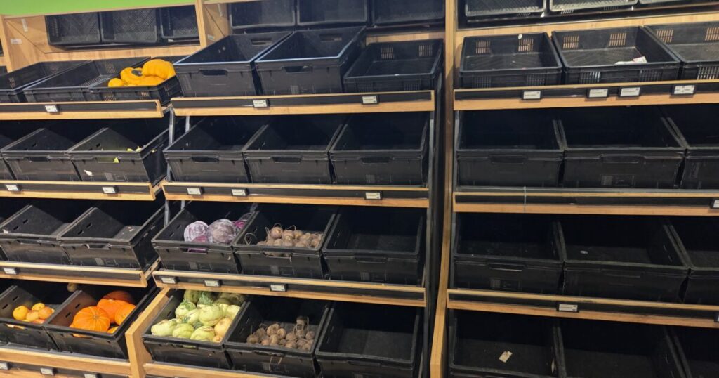 Food Disruption in Ukraine Sparks Concerns About Fuel and Food for Coming Winter * The Gateway Pundit * by Antonio Graceffo