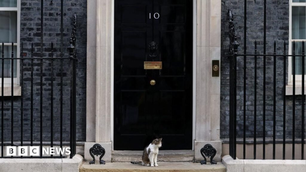 Which? says fake 10 Downing Street listing exposes ‘unfit’ Booking.com checks